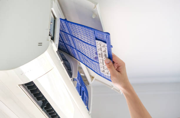 Best Air Duct Mold Removal  in Fairview, TN