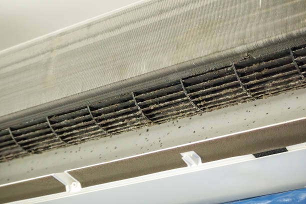 Best Affordable Duct Cleaning Services  in Fairview, TN